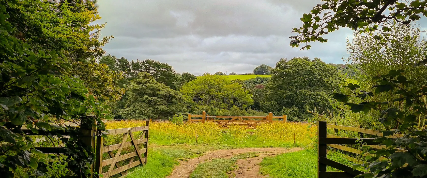 An open farm gate opening onto the country landscape near Orange, NSW